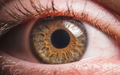 Удаление птеригиума в клинике ЦЭЛТ в Москве