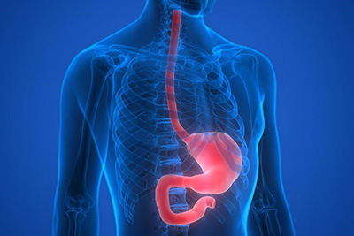 Рентгеноскопия пищевода в клинике ЦЭЛТ в Москве