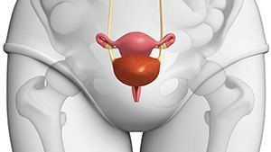 Микционная цистография мочевого пузыря в клинике ЦЭЛТ в Москве